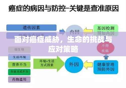 面对癌症威胁，生命的挑战与应对策略