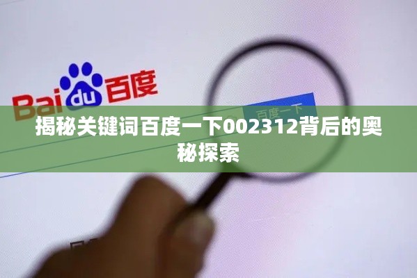揭秘关键词百度一下002312背后的奥秘探索