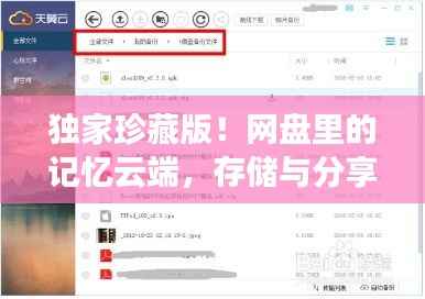 独家珍藏版!网盘里的记忆云端,存储与分享个人回忆的私密空间