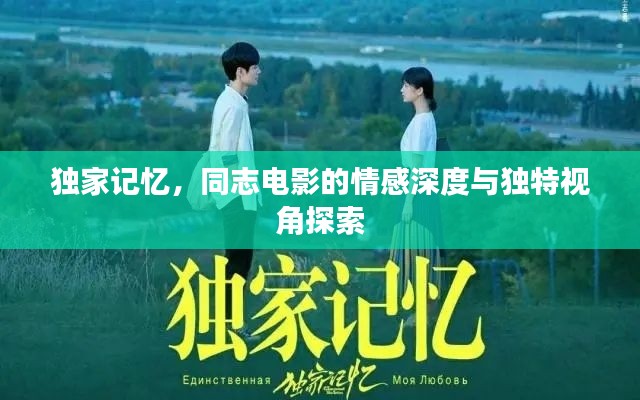独家记忆，同志电影的情感深度与独特视角探索